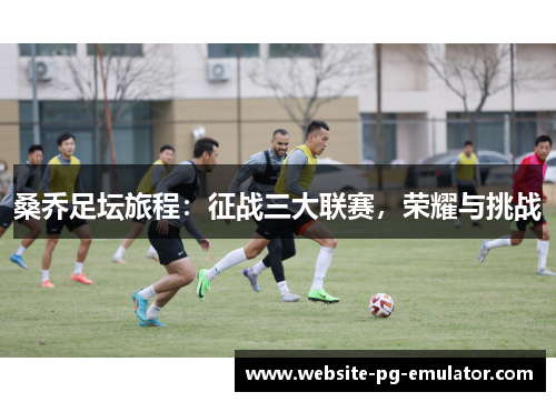 桑乔足坛旅程:征战三大联赛,荣耀与挑战 桑乔足坛旅程:征战三大联赛,荣耀与挑战