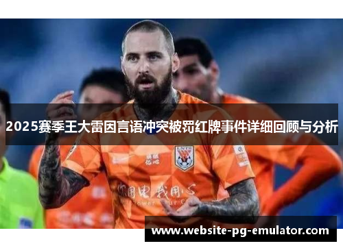 2025赛季王大雷因言语冲突被罚红牌事件详细回顾与分析 2025赛季王大雷因言语冲突被罚红牌事件详细回顾与分析