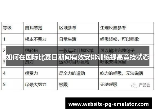 如何在国际比赛日期间有效安排训练提高竞技状态 如何在国际比赛日期间有效安排训练提高竞技状态