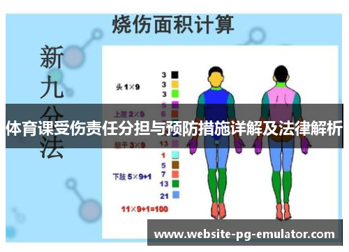 体育课受伤责任分担与预防措施详解及法律解析