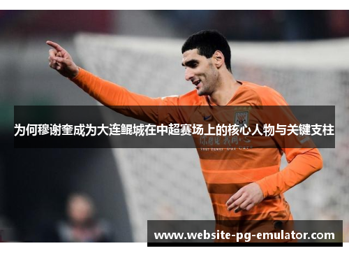 为何穆谢奎成为大连鲲城在中超赛场上的核心人物与关键支柱 为何穆谢奎成为大连鲲城在中超赛场上的核心人物与关键支柱