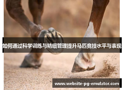 如何通过科学训练与精细管理提升马匹竞技水平与表现 如何通过科学训练与精细管理提升马匹竞技水平与表现