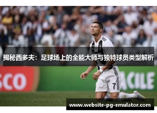 揭秘西多夫:足球场上的全能大师与独特球员类型解析 揭秘西多夫:足球场上的全能大师与独特球员类型解析