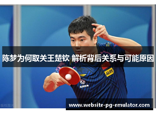 陈梦为何取关王楚钦 解析背后关系与可能原因 陈梦为何取关王楚钦 解析背后关系与可能原因