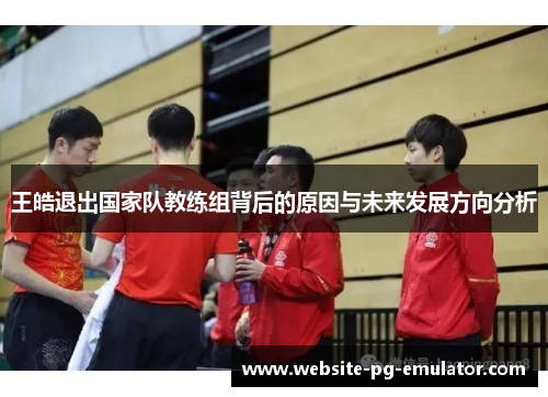 王皓退出国家队教练组背后的原因与未来发展方向分析