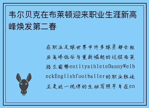 韦尔贝克在布莱顿迎来职业生涯新高峰焕发第二春