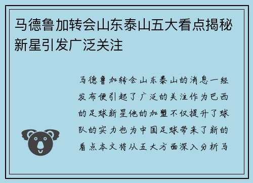 马德鲁加转会山东泰山五大看点揭秘新星引发广泛关注